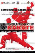 [Evolution Cup Karate]