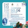 [“Giardini da tavolo”: corso di stampa a mano in cianotipia con l’artista Maria Grazia Colonnello]