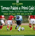 [Torneo Pulcini e Primi Calci]