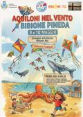 [Aquiloni nel vento a Bibione Pineda]