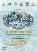 [Un mare di batterie]