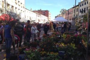 [La piazza si riempie per la 3^ Festa dei Fiori]