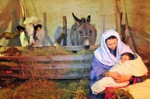 [Presepio Vivente ad Annone Veneto]