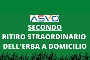 [Asvo, seconda raccolta di erba a domicilio]