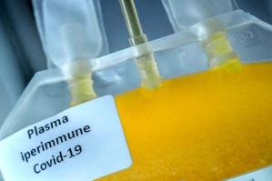 [Ulss4 e Avis insieme per incentivare le donazioni di plasma]