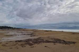 [Bibione, spiaggia ripulita: dalla Regione 1,2 milioni di euro per il ripascimento]