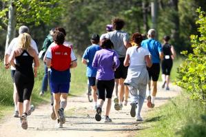 [Domenica la 43ª edizione di “A piedi per Bibione”]