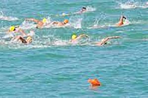 [Nuotiamo Insieme- Trofeo Alba Chiara: 800 partecipanti per l'edizione 2024]