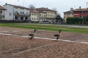 [Si riaprono gli spazi annessi a Villa Mocenigo ad Alvisopoli]