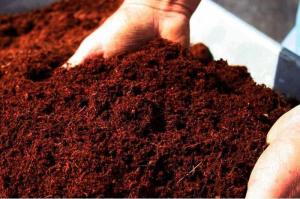 [Un sacchetto di terriccio in omaggio a chi conferisce materiali e rifiuti nei centri di raccolta di Veritas]