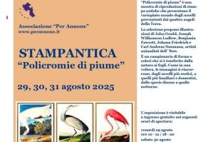 [StampAntica: il mondo alato prende vita ad Annone Veneto]