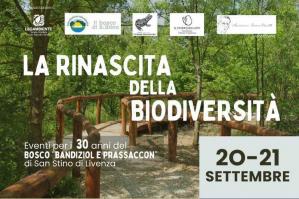 [1995 – 2025 i primi trent’anni del bosco di San Stino]