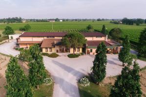 [Due icone, un territorio: Stajnbech Bianco e Stajnbech Rosso, i brindisi di Natale firmati Veneto orientale]