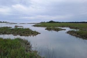 [ECO2SMART Barene della laguna di Caorle: la biodiversit&Atilde;&nbsp; in aiuto contro il cambiamento climatico]
