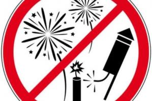 [Stop ai botti dal 30 Dicembre al 7 Gennaio per tutelare soggetti fragili e animali]