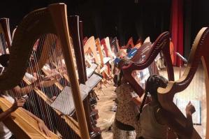 [Carnival Harpparade: al teatro Russolo concerto dell’Ensemble Suzuki italiano di arpe!]