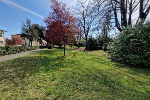 [Manutenzione del verde pubblico, al via gli sfalci dell'erba]