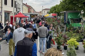 [Grande partecipazione ed entusiasmo per la 36^ Piazza fiorita a Concordia Sagittaria]