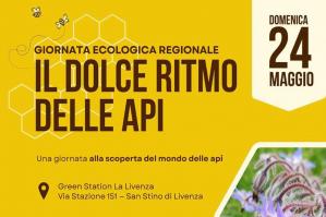 [“Il dolce ritmo delle api”: l’iniziativa di Legambiente Veneto Orientale per la Giornata Ecologica regionale]
