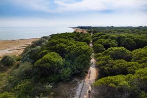 [Bibione, la bicicletta diventa accessibile anche a ciechi e ipovedenti: al via le escursioni “Riding in The Dark”]