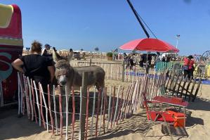 [Bibione diventa set cinematografico: il Faro e Piazzale Zenith scelti per un film internazionale]