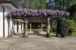 [“Bar al Parco”: definiti dalla giunta comunale gli elementi della procedura di gara]