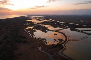 [Bibione, inaugurato il Sentiero del Bosco Nuovo: 10,5 chilometri tra natura e storia]