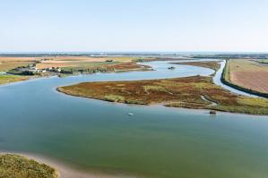 [Tagliamento: un piano per il fiume, dalla sorgente alla foce a delta]